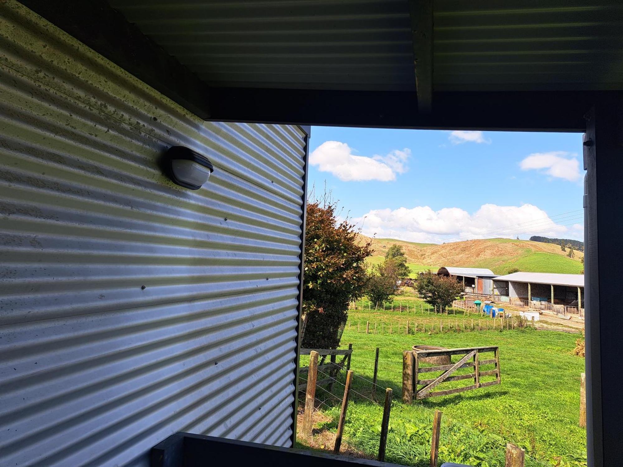 Crinkly Cottage Te Kuiti Luaran gambar